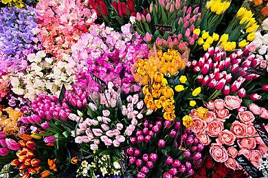 极简益智独立游戏《The Tree》发售 支持简体中文