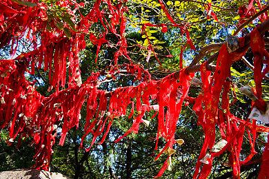 《真三国无双：起源》孙策贾诩乐进介绍 小霸王很帅